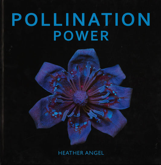 Pollination Power