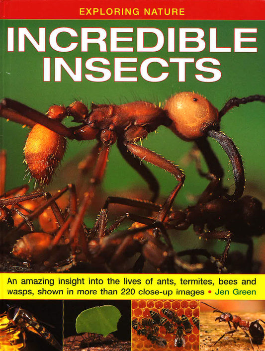Exploring Nature: Incredible Insects: An Amazing Insight Into The Lives Of Ants, Termites, Bees And Wasps, Shown In More Than 220 Close-Up Images