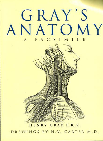 Grays Anatomy