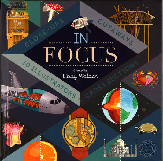 In Focus
