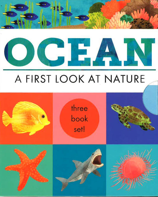 Hidden World - 3 Books In Slipcase: Ocean