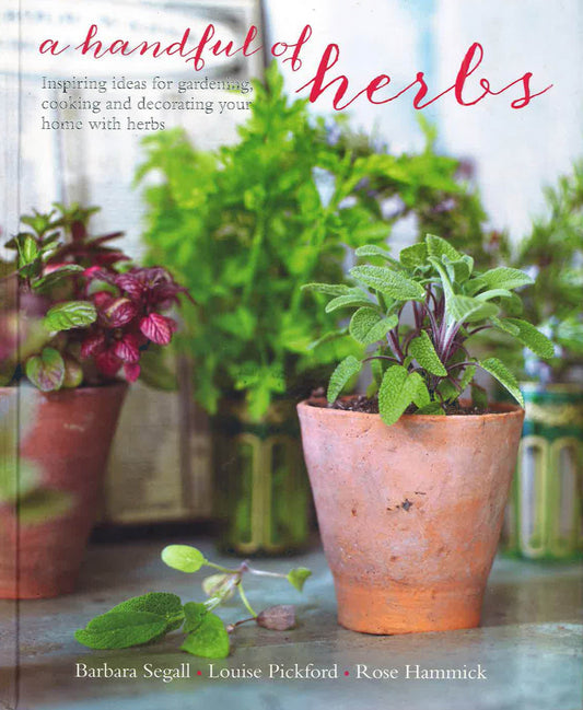 A Handful Of Herbs