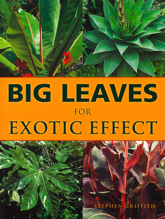 Big Leaves For Exotic Effect