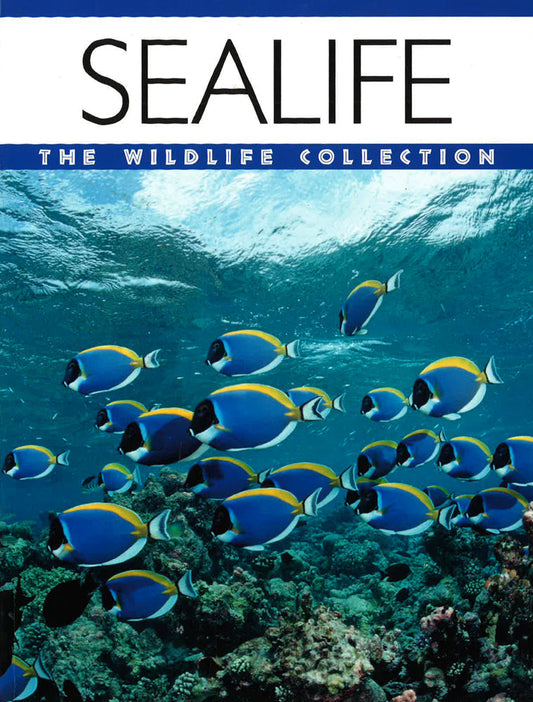 Sealife