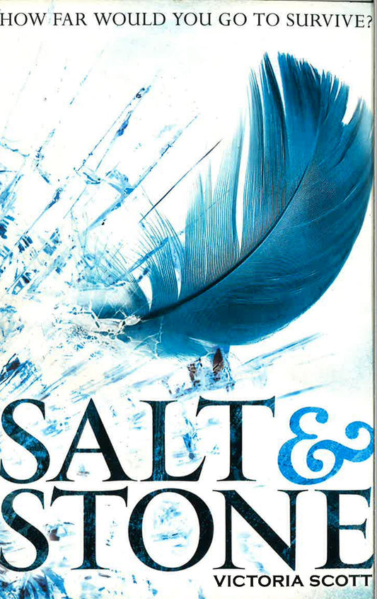 Salt And Stone (Fire And Flood: Book 2)