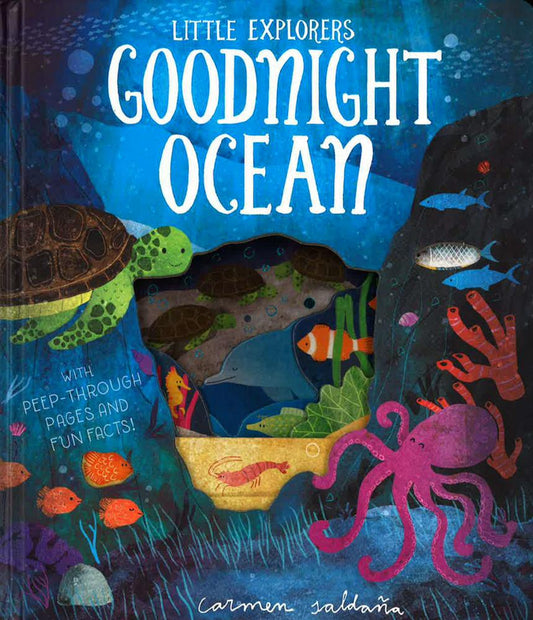 Goodnight Ocean