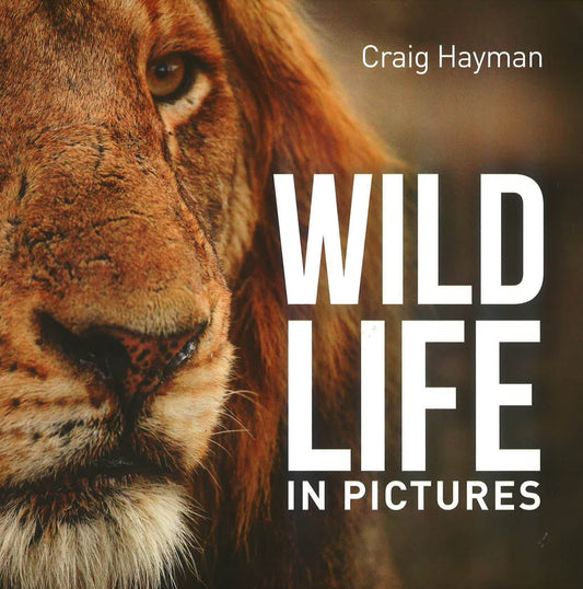 Wildlife In Pictures (Hb)