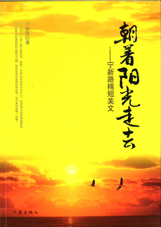 朝着阳光走去：宁新路精短美文