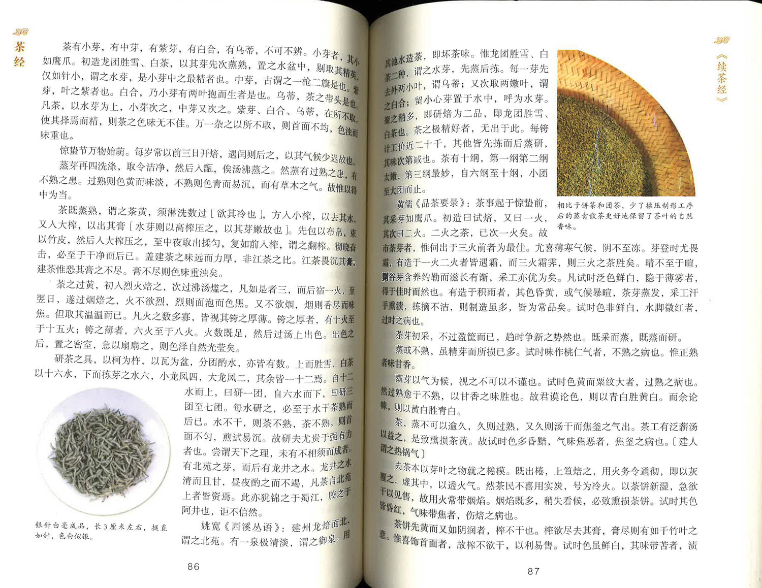 茶经