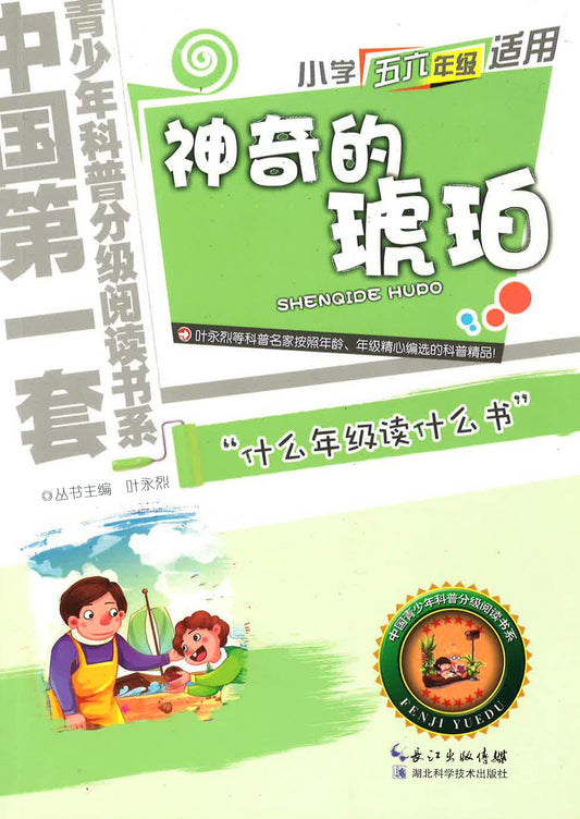 神奇的琥珀