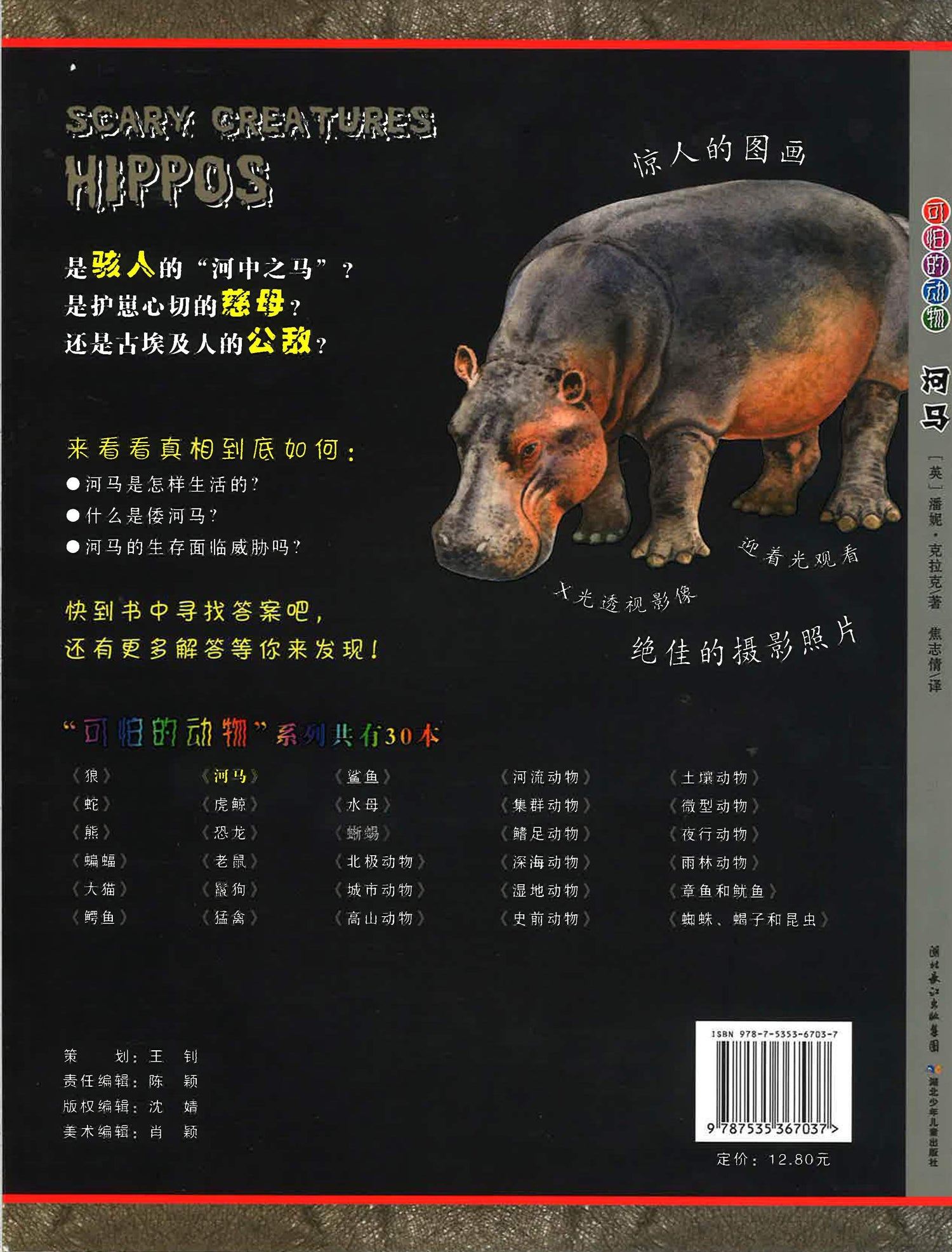 可怕的动物 河马
