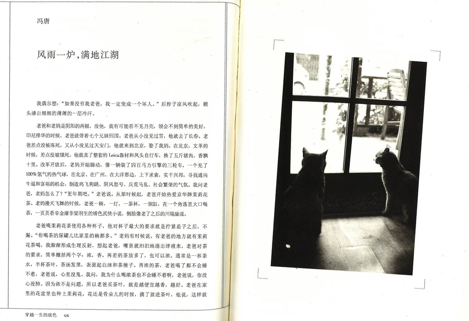 穿越一生的底色