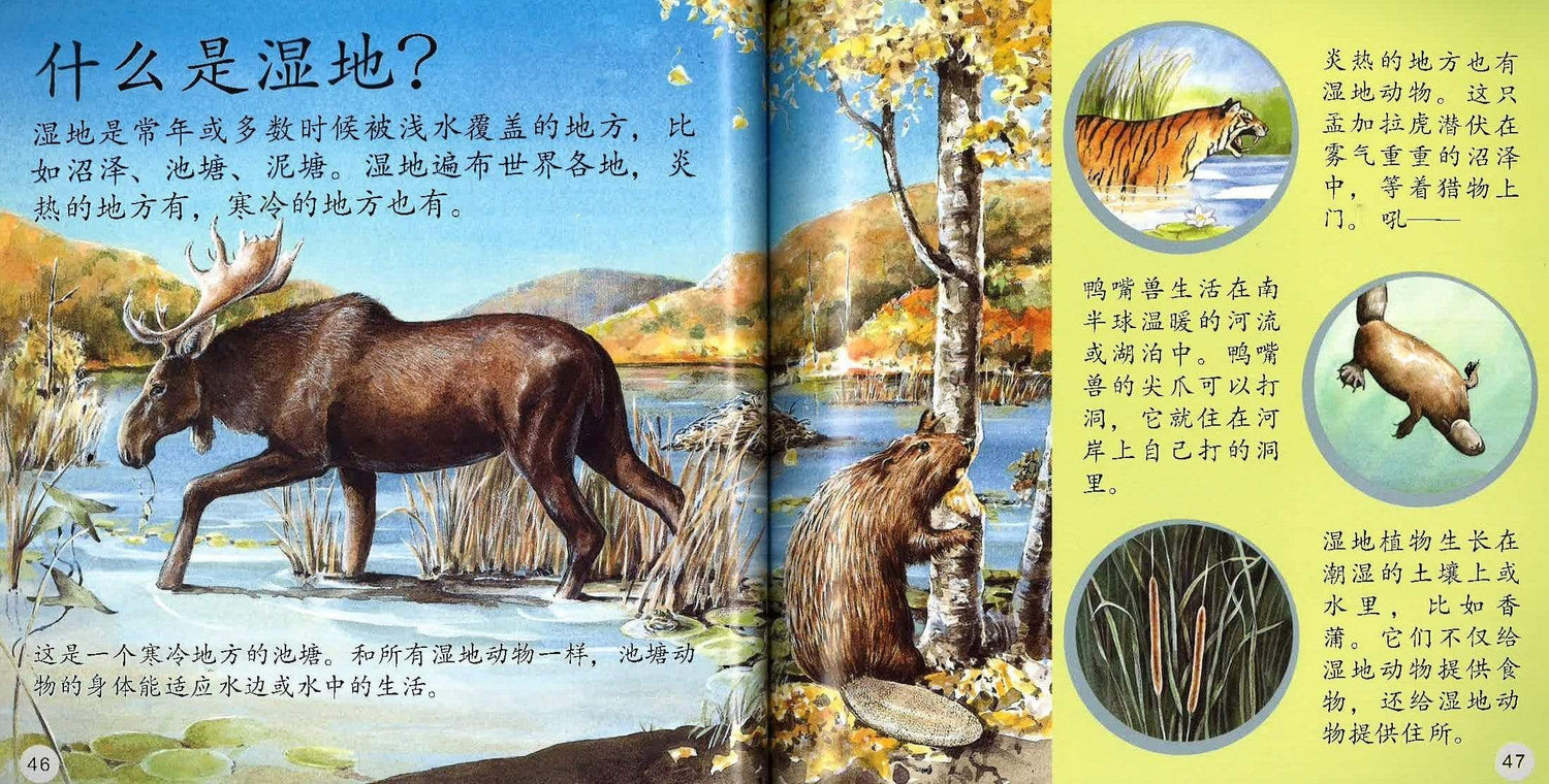 谁住在这里呀？