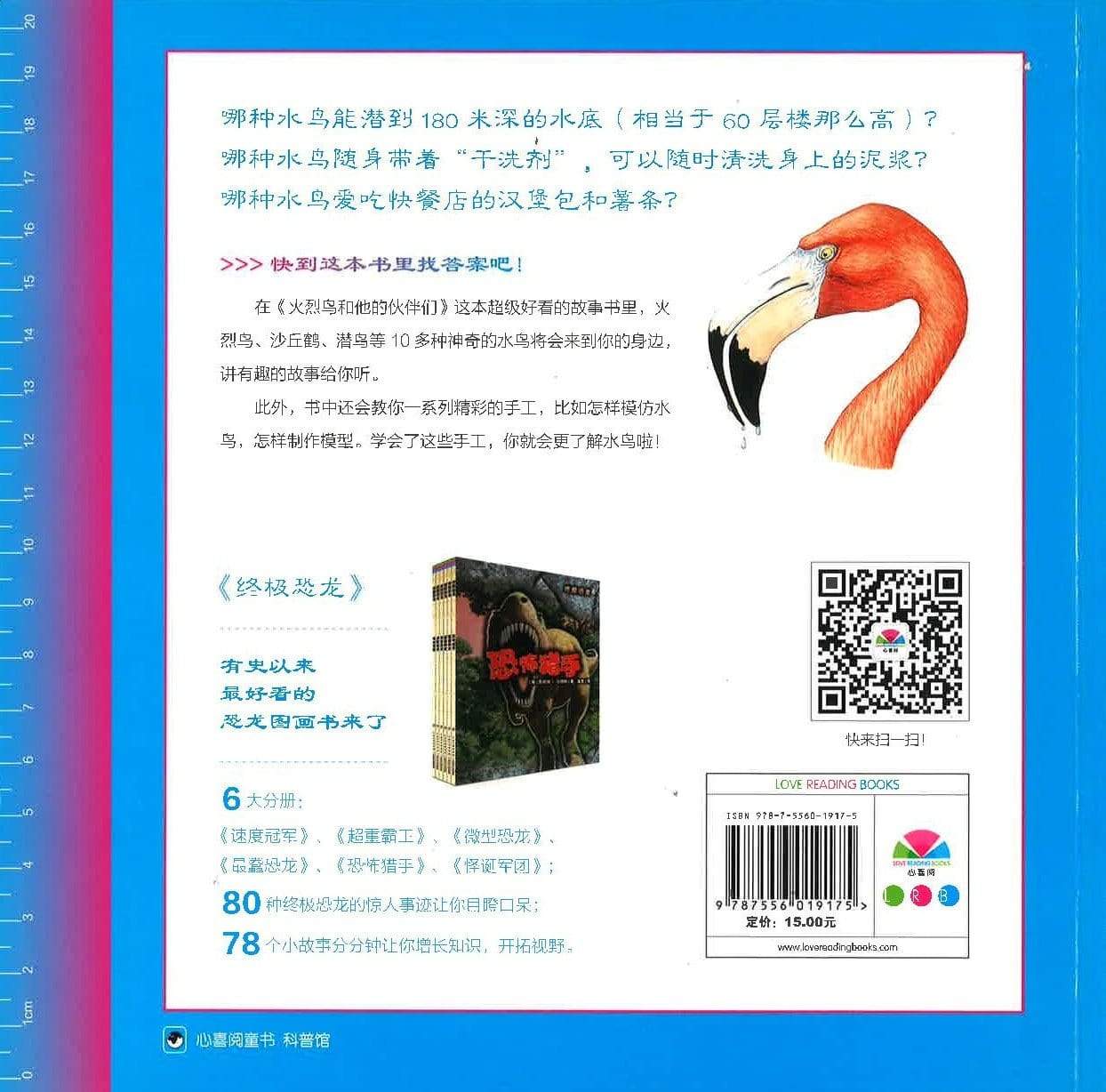火烈鸟和他的伙伴们