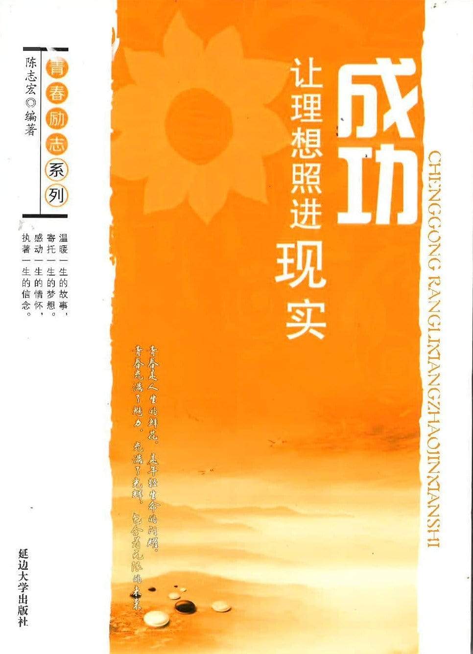 成功让理想照进现实