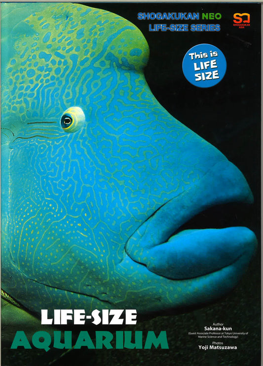 Life-Size Aquarium