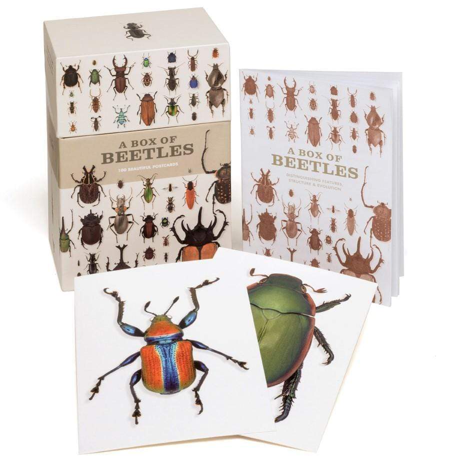 A Box of Beetles: 100 Beautiful Postcards