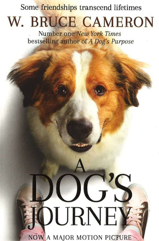A Dog's Journey