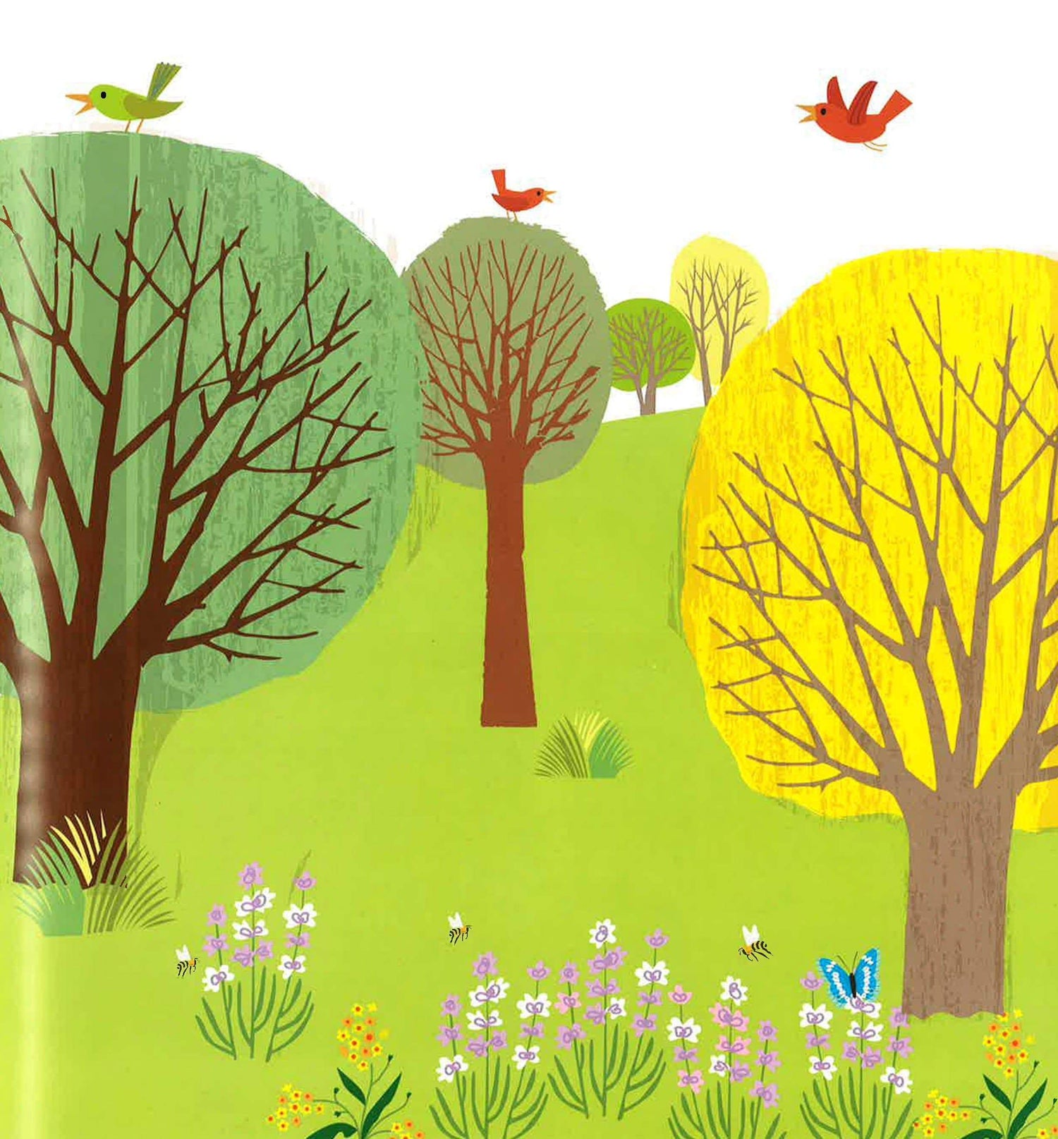 A Journey Through Nature