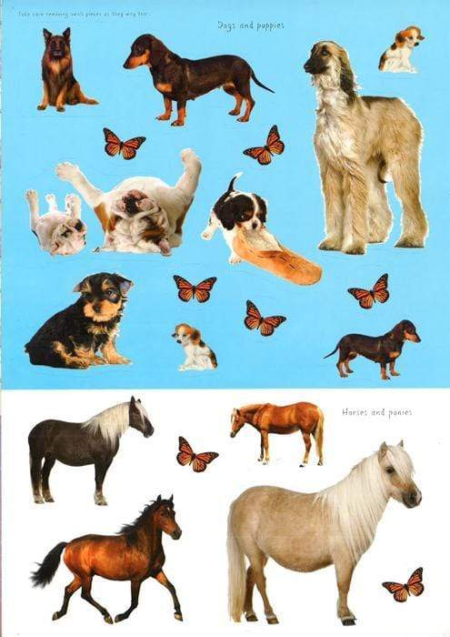 Animal Friends