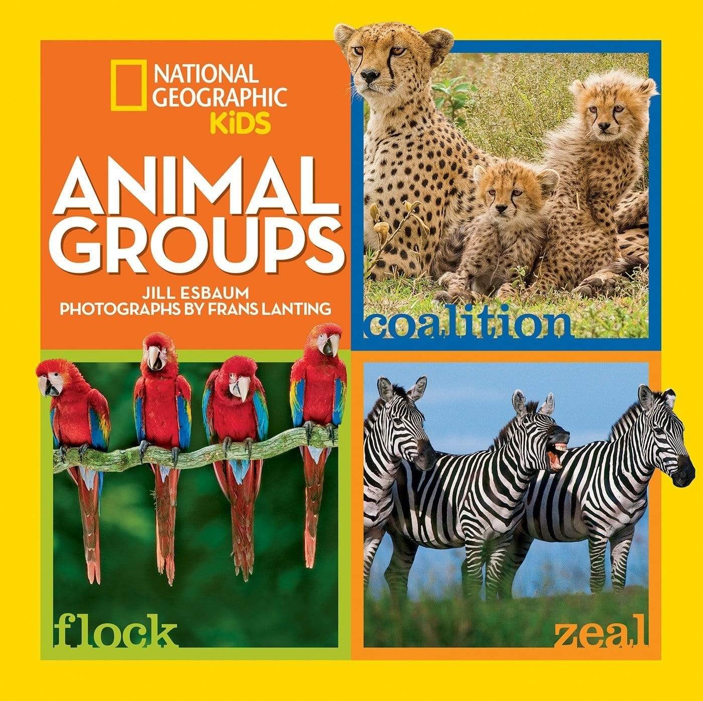 Animal Groups (National Geographic Kids)