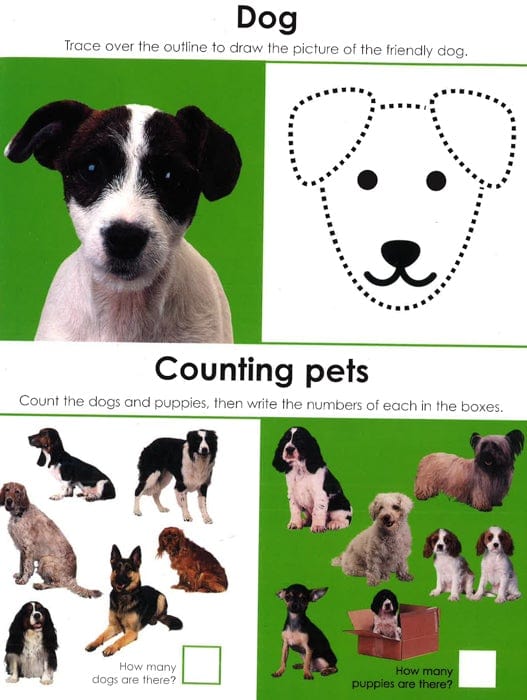 Animals
