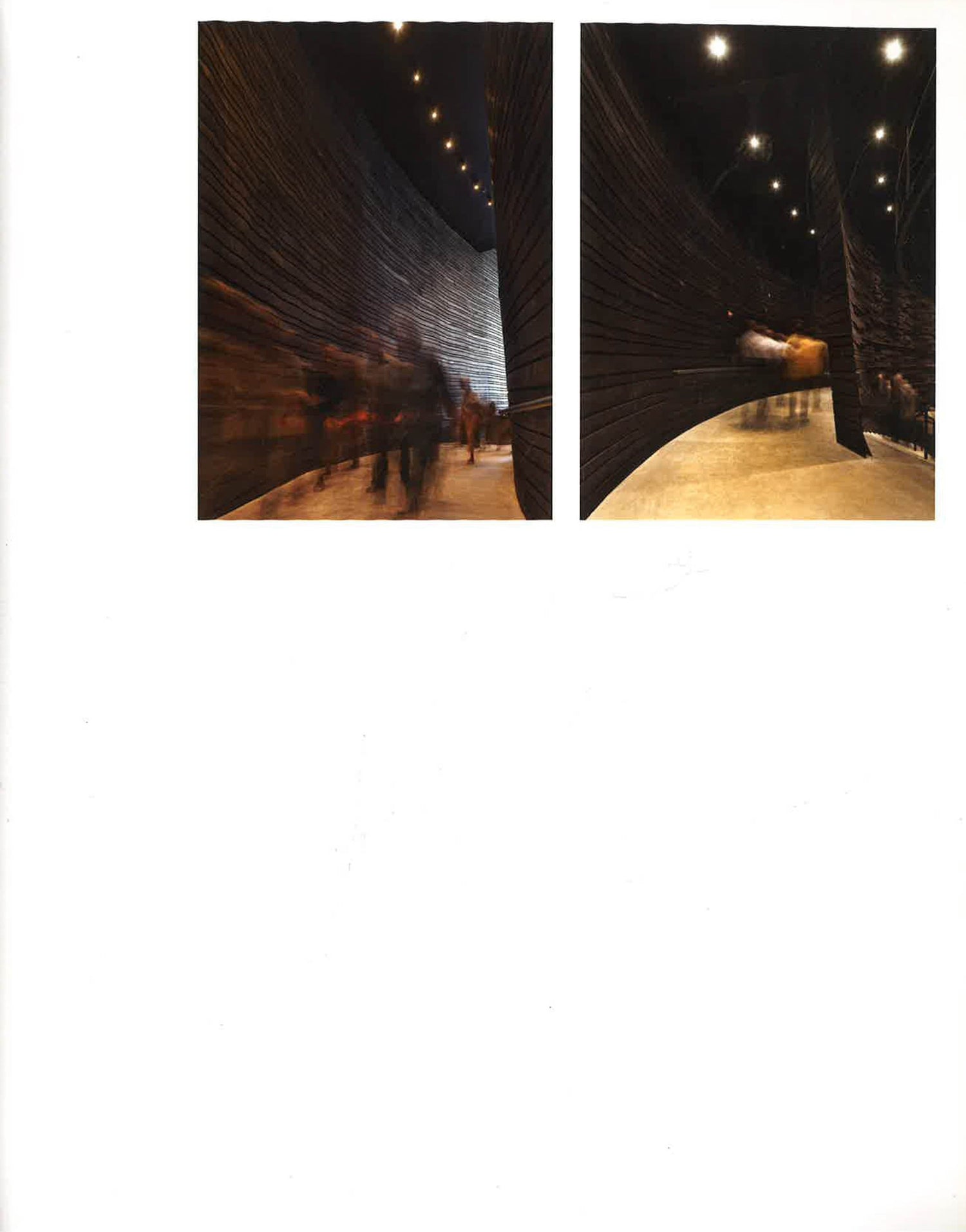 Bing Thom Works (Hb)