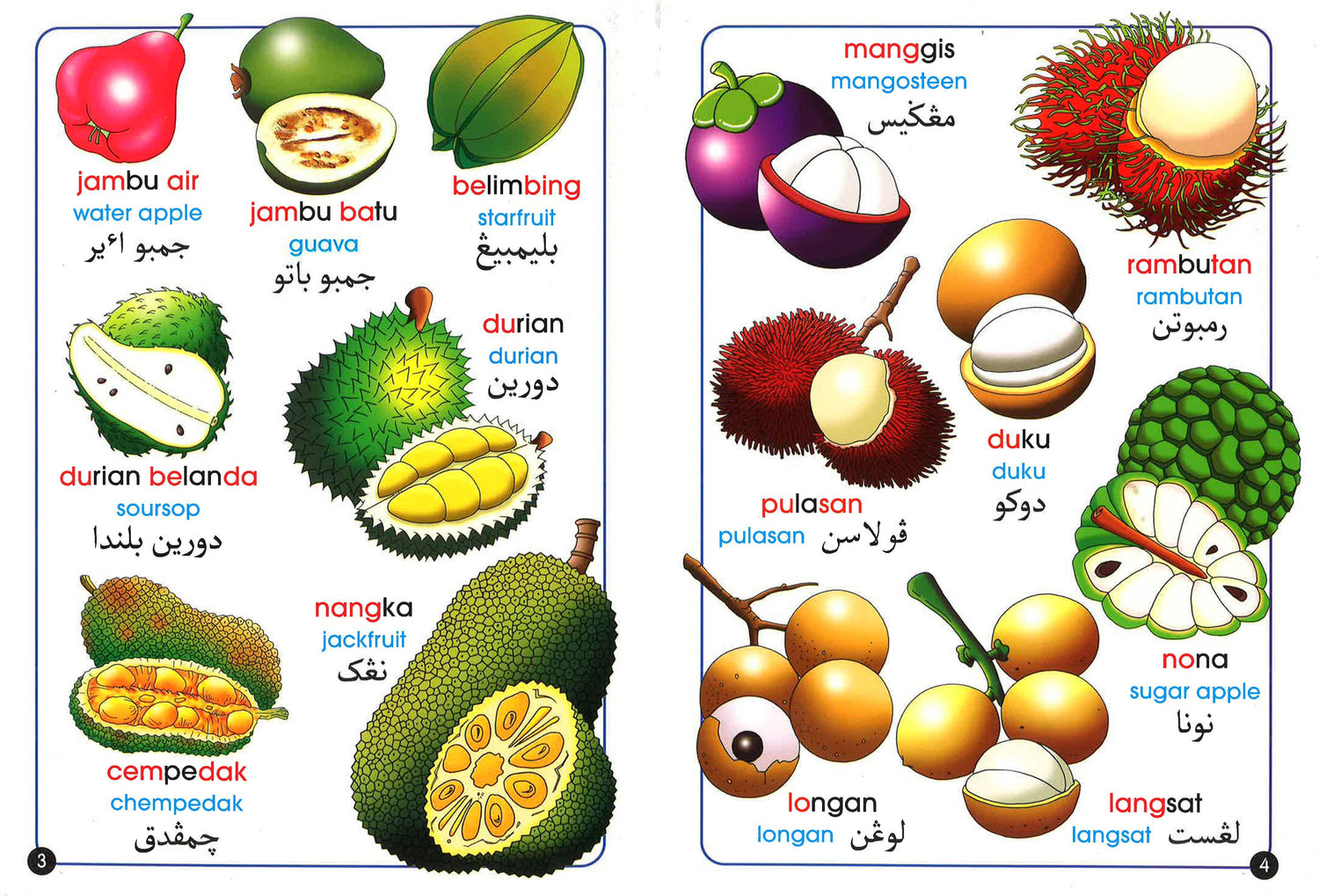 Buah-Buahan Sayur-Sayuran Dan Bunga (Fruits,Vegetables And Flowers)