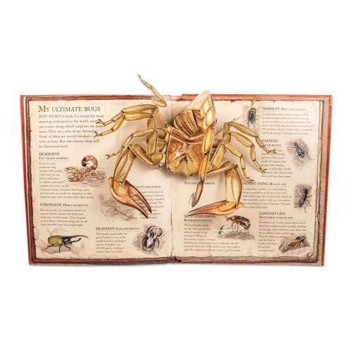 Bugs: A Pop-Up Journey Into The World Of Insects, Spiders And Creepy-Crawlies