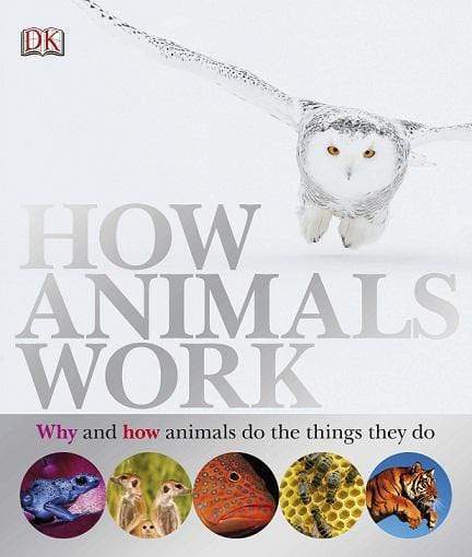 Dk: How Animals Work