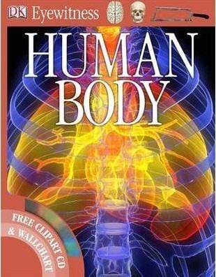 DK Human Body