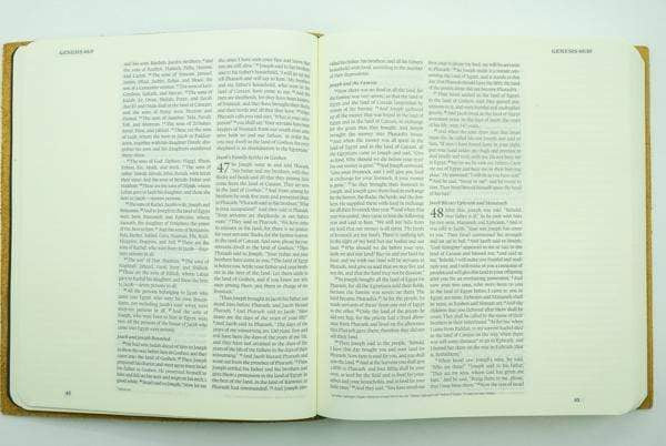 Esv Journaling Bible