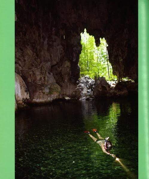 Fifty Places To Dive Before You Die