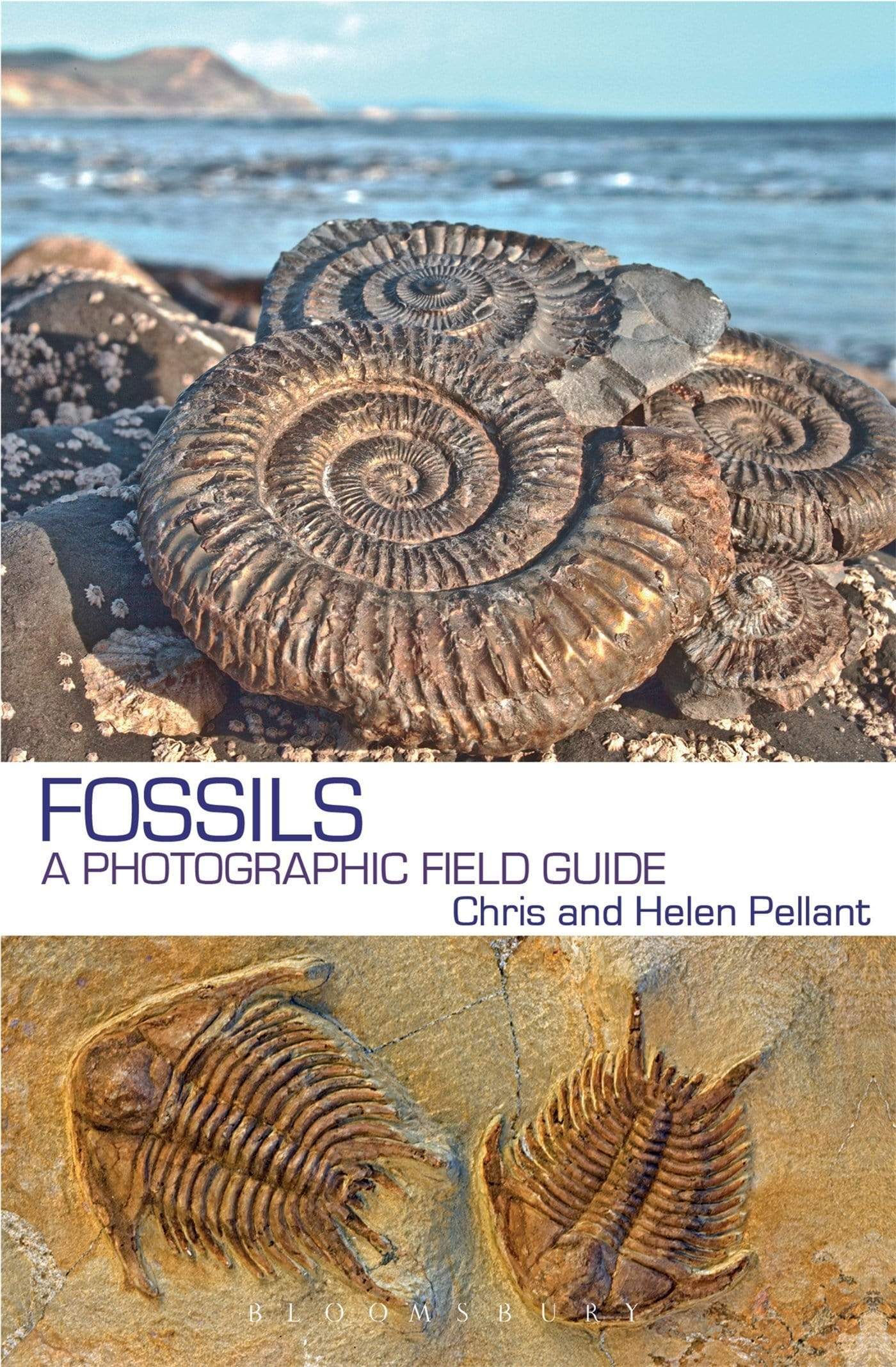 FOSSILS : A PHOTOGRAPHIC FIELD GUIDE