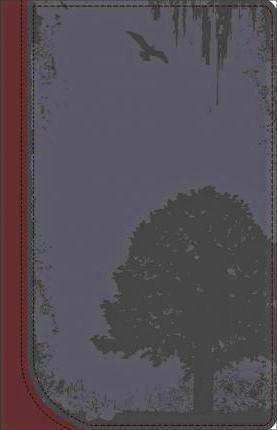 God Guy Bible