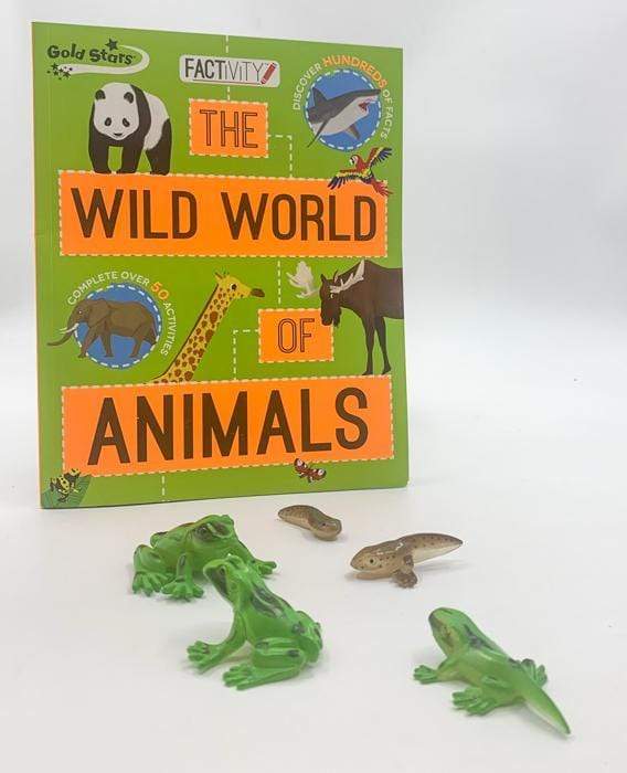 Gold Stars Factivity: Animal Factivity