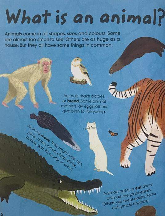 Gold Stars Factivity: Animal Factivity