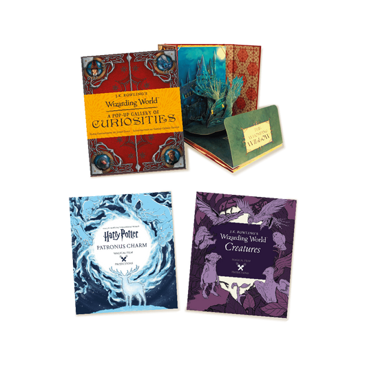Harry Potter Movie Projection Bundle 2