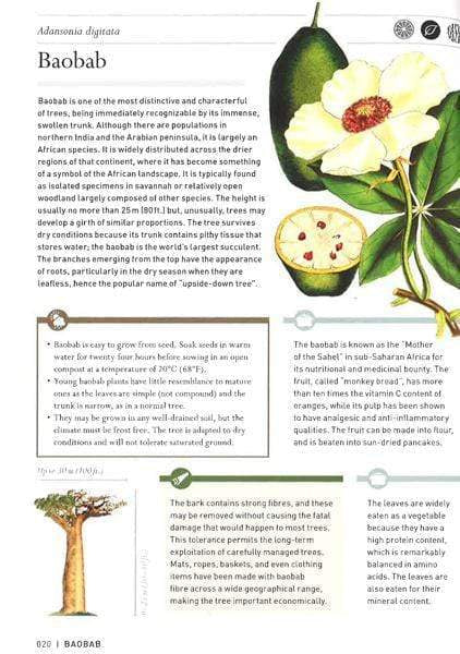 Hidden Histories: Trees
