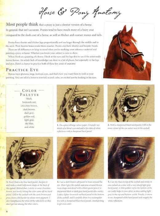 Horses & Ponies (Pastel)