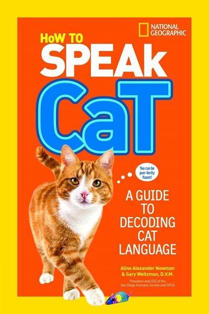 How To Speak Cat: A Guide To Decoding Cat Language