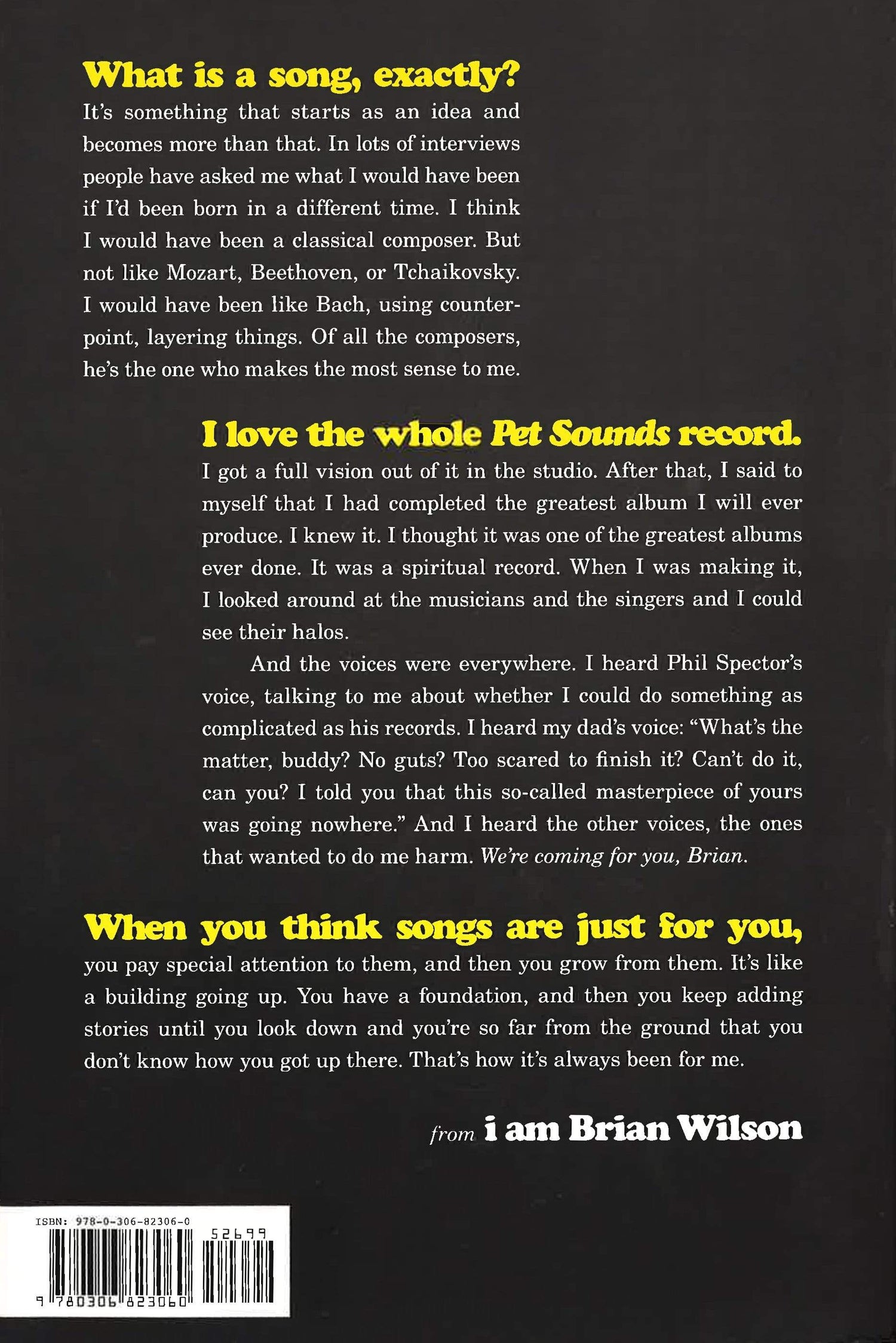 I Am Brian Wilson