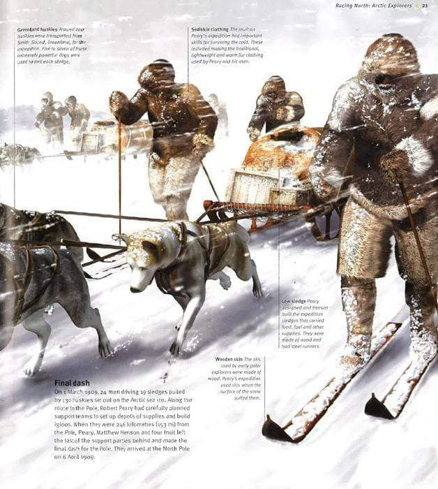 Insider: Polar Worlds