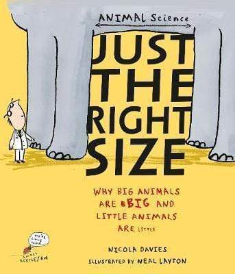 Just The Right Size