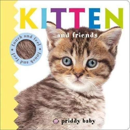 KITTEN AND FRIENDS TOUCH AND FEEL