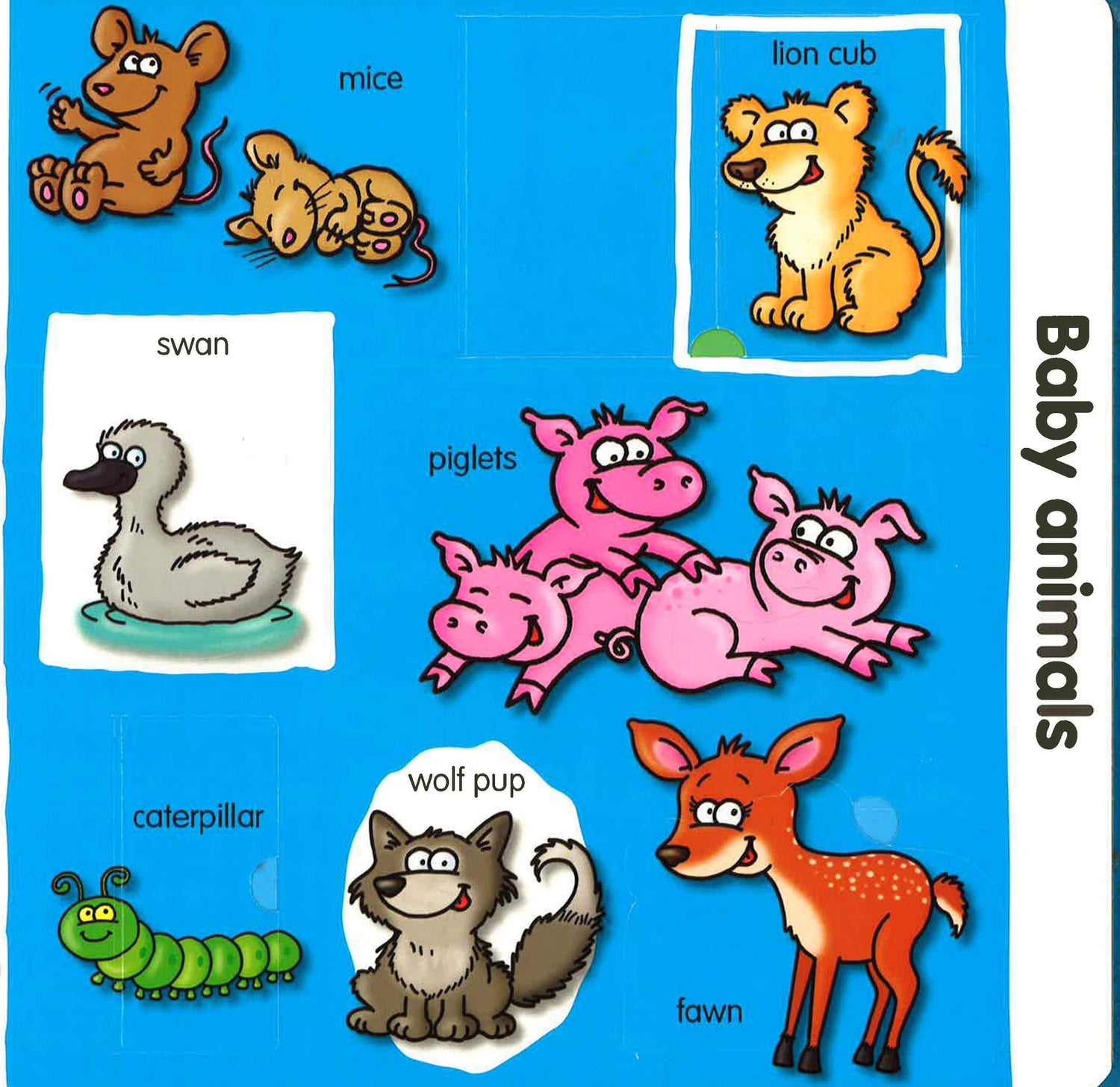 Learning Words With Pretty Pictures & Funny Flaps: Animals
