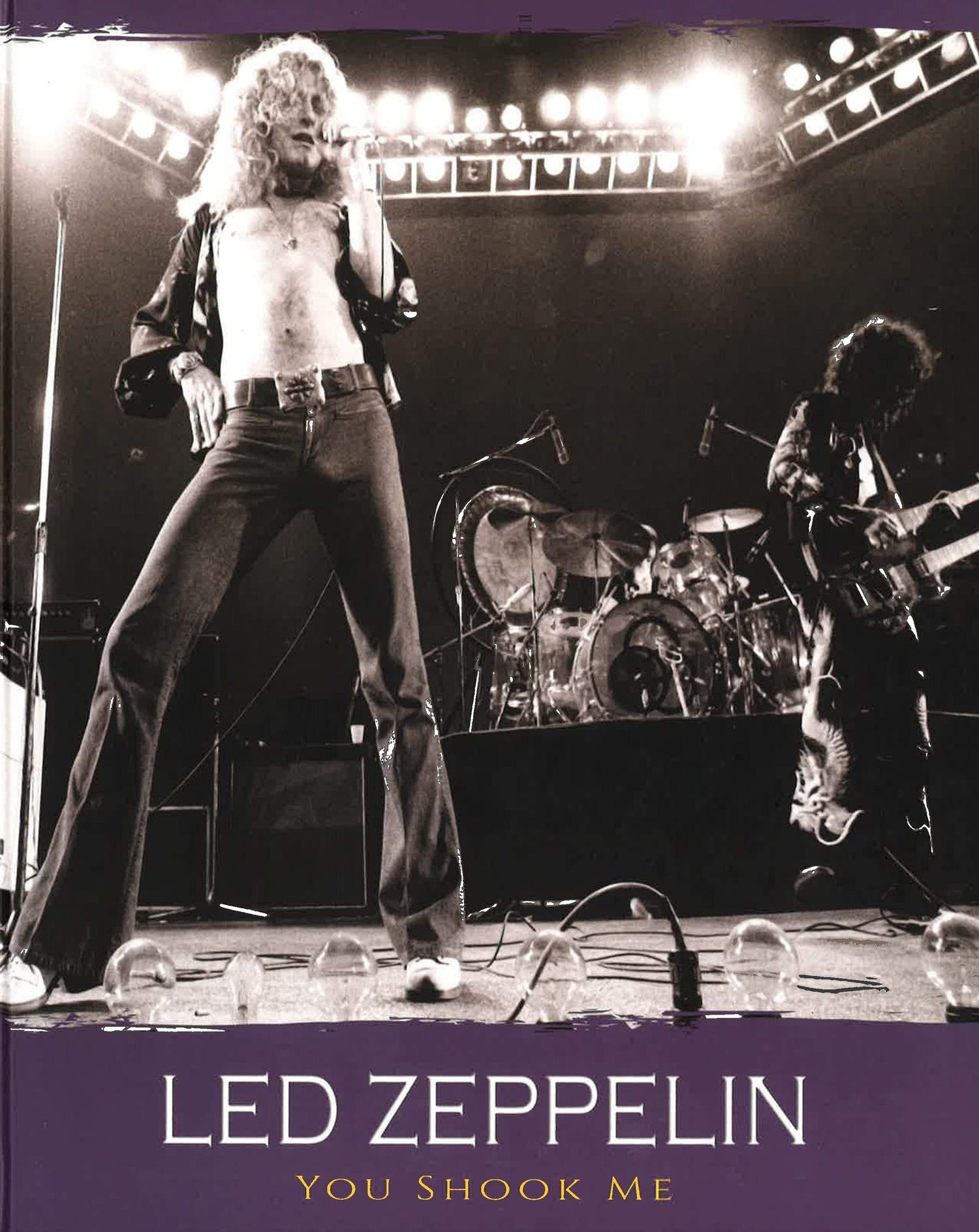Led Zeppelin: You Shook Me