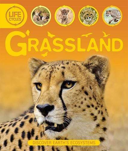 Life Cycles Grassland