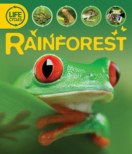 Life Cycles Rainforest