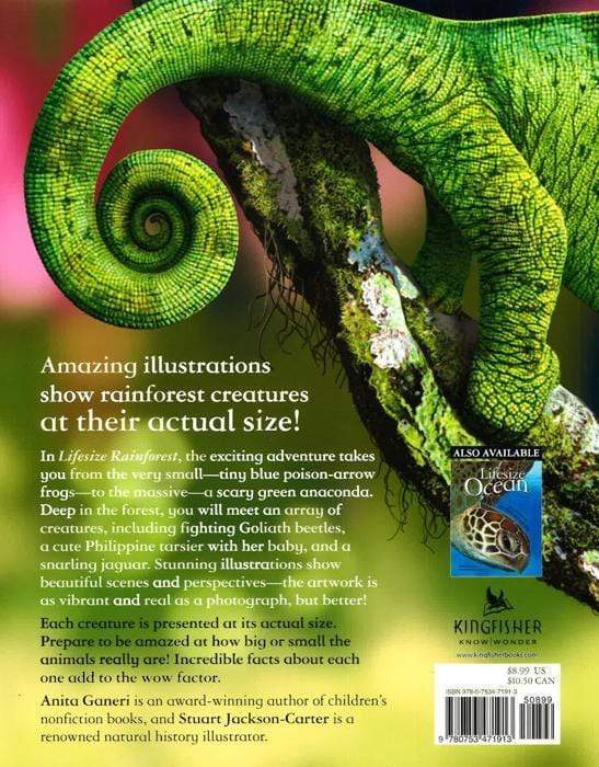 Lifesize: Rainforest
